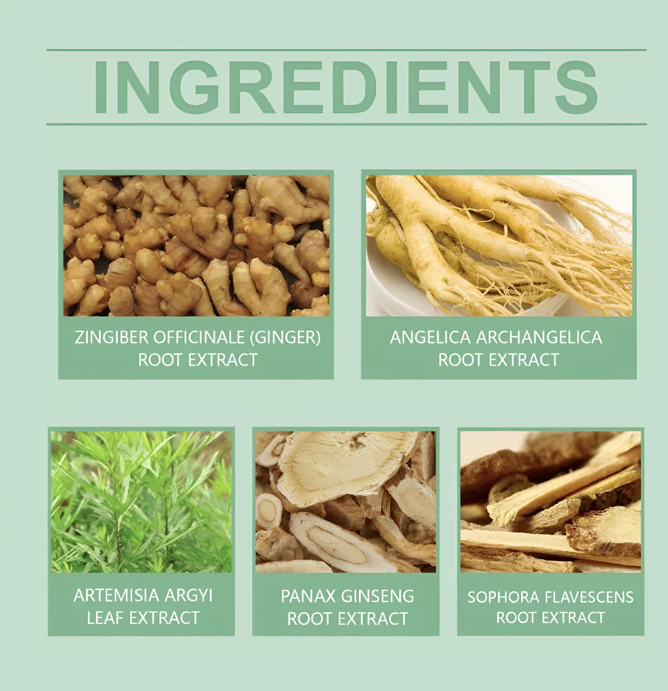 100% Herbal Detox Foot Pads — 1 Pack (Buy 1 Get 1 Free)